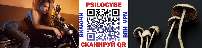 Псилоцибиновые грибы MAGIC MUSHROOMS  это какой сайт  Дигора  ссылка на мегу ТОР 